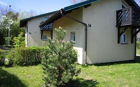 Róża Wiatrów